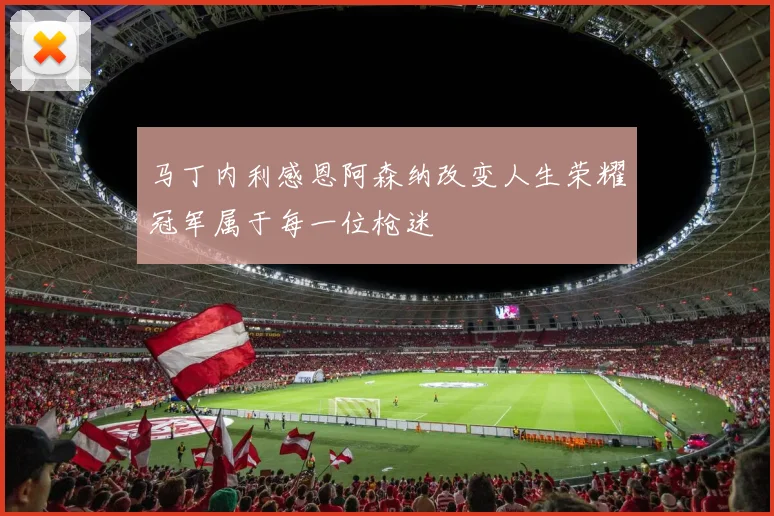 马丁内利感恩阿森纳改变人生荣耀冠军属于每一位枪迷